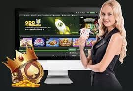 mb8 online